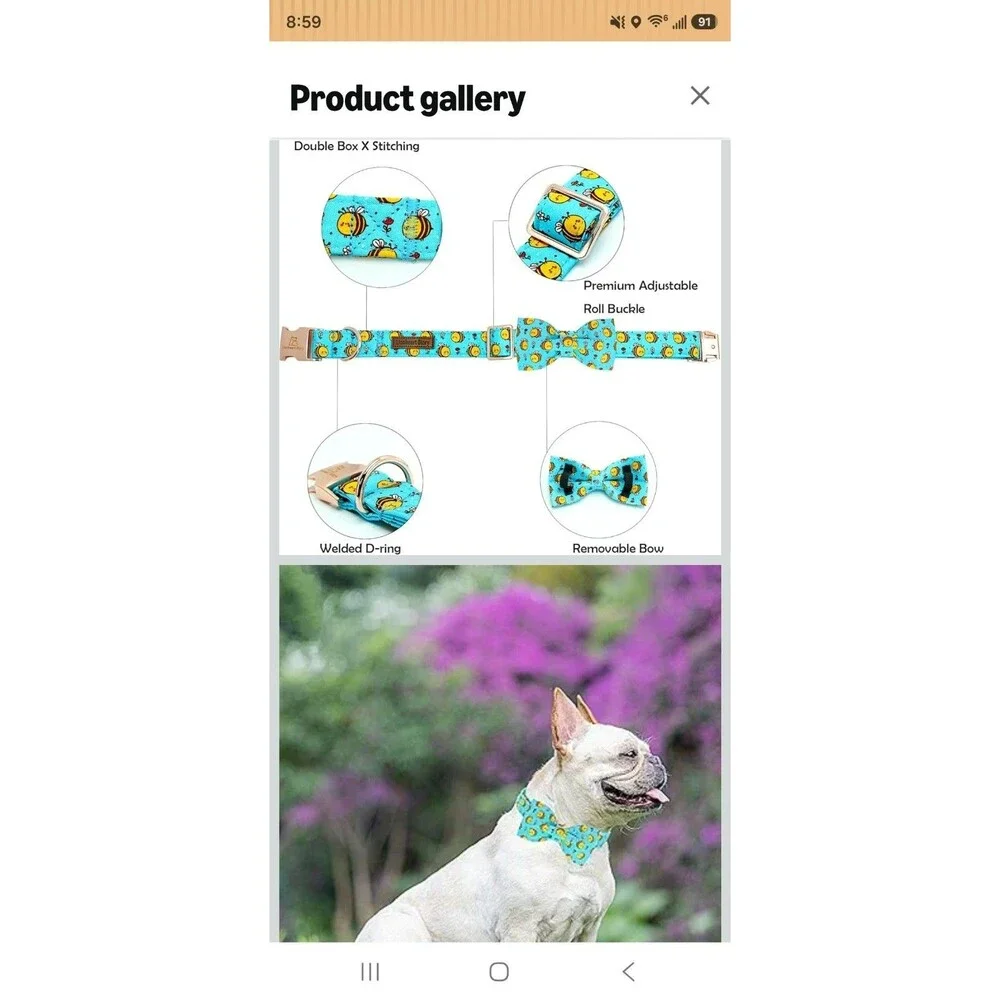 Lionheart Glory Bee Print Dog Collar Large w/ Removable Bow Tie Adjustable